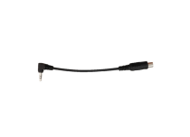 Adapterkabel RCA 3,5mm | Cheyenne