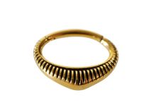 Goldener Stahlring Gestreiftes Septum-Scharnier |  ITC