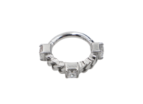 Ring Scharnier CoCR 1.2X8 Satz gelenkig Strass