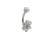 Micro Banane Rook Titanium 1.2X7 Strass Blume Strass