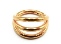 Ring Scharnier Titan PVD Gold Steril Motiv Dreifach |  ITC