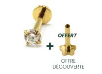 Labret Titanium PVD Gold Intern Steril Griffé Motiv Rund |  ITC