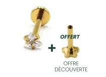 Labret Titan PVD Gold Innengewinde Steril Griffmuster Dreieck |  ITC