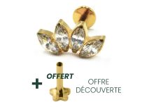 Labret Titanium PVD Gold Interne Steril Marquise Motiv 4 Strass |  ITC