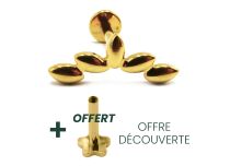 Labret Titanium PVD Gold Interne Steril Mandelmuster |  ITC