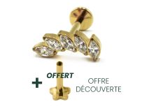 Labret Titanium PVD Gold Intern Steril Marquise Motiv 5 Strass Weiß |  ITC