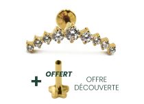 Labret Titanium PVD Gold Interne Steril Motiv Krone 9 Strass Weiß |  ITC