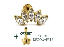Labret Titanium PVD Gold Intern Steril Motiv Marquise gerade 5 Strass Weiß |  ITC