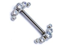 Barbell Teton Titanium Intern Steril Motiv 5 Strass in Bogen |  ITC