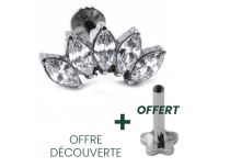 Labret Titanium Intern Steril Motiv Krone 5 Strass Weiß |  ITC