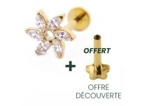 Labret Titanium PVD Gold Interne Steril Motiv Strassmühle |  ITC