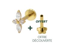 Labret Titanium PVD Gold Interne Steril Motiv Petalen Strass BL |  ITC