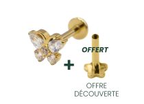Labret Titanium PVD Gold Interne Steril Schmetterlingsmotiv Strass BL|  ITC