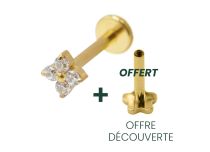 Labret Titanium PVD Gold Interne Steril Blumenmotiv 4 Strass BL|  ITC