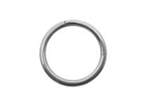 Ring Stahl Scharnier |  ITC