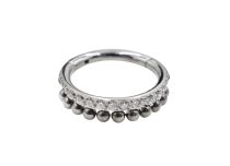Titanring Scharnier Strassmotiv|  ITC