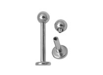Interne Titanium Labret |  ITC