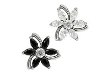 accessoire titane etoile strass blanc