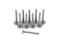 Titanium Labret Lot ohne Kugel |  ITC